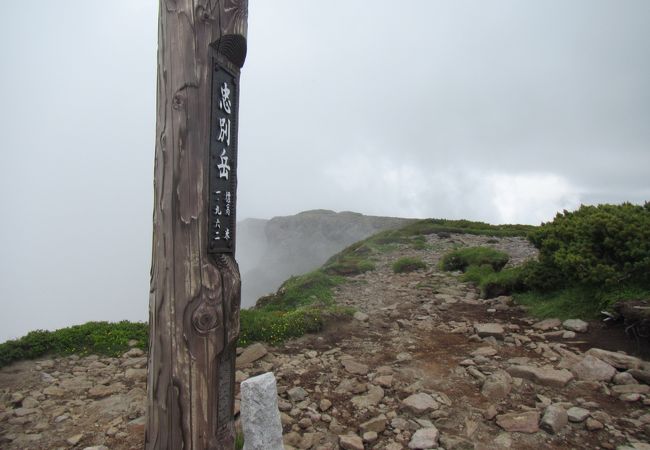 平坦だった高根ヶ原の終わりに