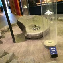 全部読んでいると時間が無いので興味があれば見学後に！