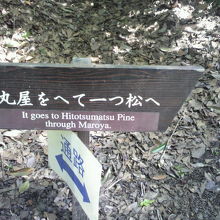 丸屋への案内標識です。これもMaroya(マロヤ)の表示です