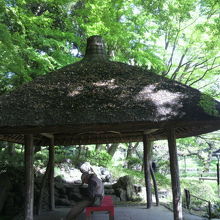 茅葺屋根の四阿の丸屋の側面です。紅葉の時期が良いようです。