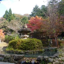 公園内の風景