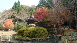 隠れた紅葉の見所