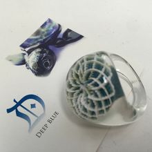 お名刺のカメも彼の作品です。