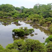 クロマツに囲まれた御花の庭園