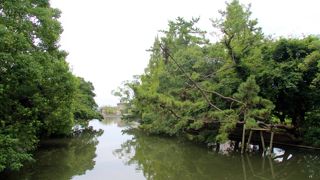 市内に縦横に走っています