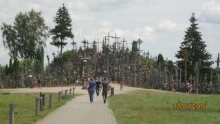 不思議な光景です。