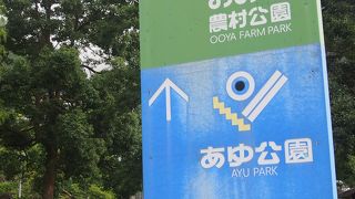 あゆよりも鹿やイノシシが出てきそう