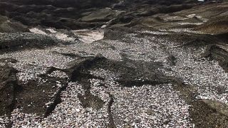 安房崎灯台で「波の華」に遭遇!