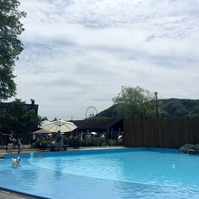 ドッグプールもあり。私が入りたいくらい。。。