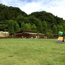 愛犬と一日めちゃめちゃ楽しめそう。