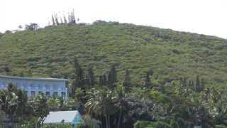 のぼるのが結構大変でした