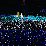 奈良県新公会堂 クチコミ アクセス 営業時間 奈良市 フォートラベル 奈良県新公会堂 クチコミ アクセス 営業時間 奈良市 フォートラベル