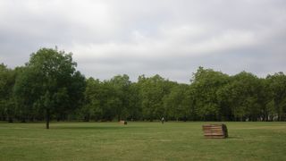 緑豊かな公園
