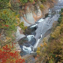 春夏秋冬、四季折々の風景が楽しめます♪