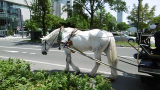 メインストリート