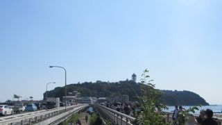 いろいろなポケモン出現