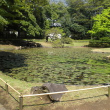 後の庭園である後園を隔ている唐門を背にして、内庭を見ています