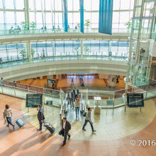 羽田空港ターミナル ビッグバード （はねだくうこうたーみなる