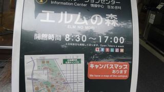 散策前に立ち寄りお勧め