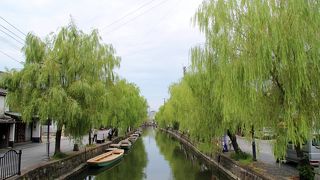 掘割沿いの柳並木は風情がある