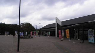 ウトナイ湖に隣接しているので観光も出来ます