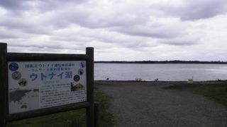 ラムサール条約登録湿地で、白鳥などの飛来地です