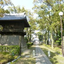 鐘楼脇の緑の小道・・・