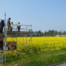 物見やぐらまで設置してくれてます