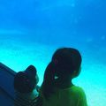 沖縄 美ら海水族館