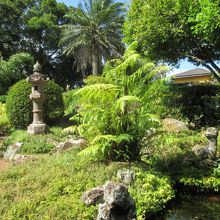 日本庭園風な一角を発見
