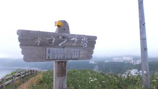 結構急坂で登のがきつかった