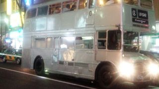 多くの若者活気溢れていました