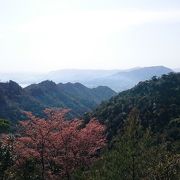 弥山原始林 クチコミ アクセス 営業時間 宮島 厳島神社 フォートラベル