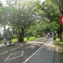 散策路があります