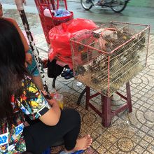 寺院前には徳を積むための小鳥が売っていますよ