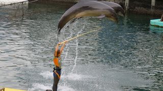 家族連れならなお最高