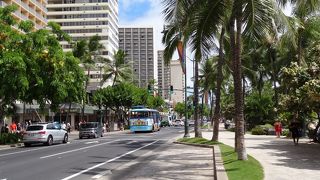 ヤシの木が両側に