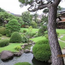 部屋から見た庭園