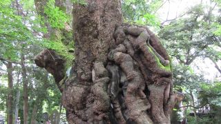 寿命が延びるパワースポット