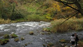 今年の紅葉は良くない