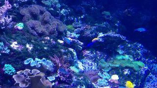 デートにおすすめ！