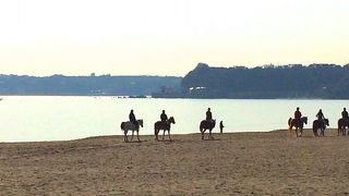 馬と海と素敵な景色