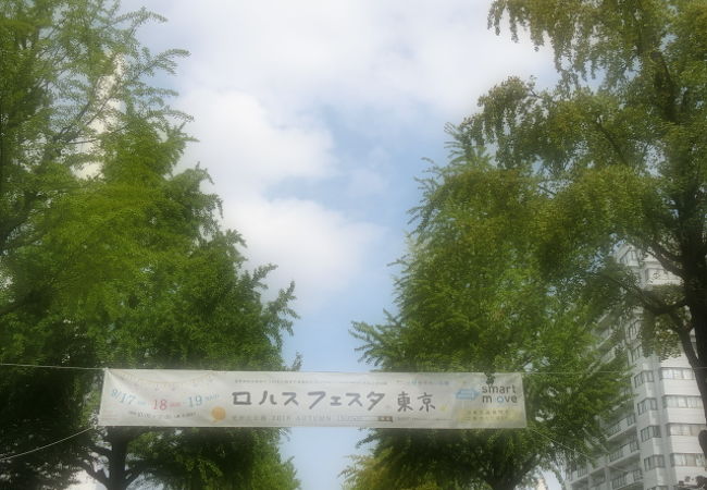 光が丘公園でロハスフェスタ