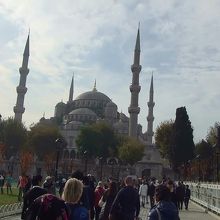 散策中に撮影しました