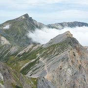 是非とも巻かないで山頂へ！