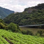 四国随一の歩道吊橋(池田湖)