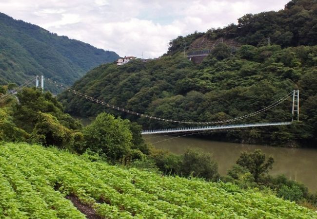 四国随一の歩道吊橋(池田湖)