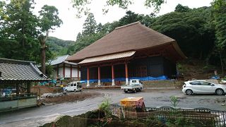 囲いが外されました