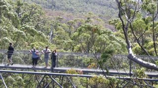 木登りが苦手でもOK