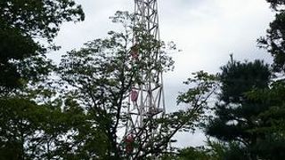 上田城跡公園内に